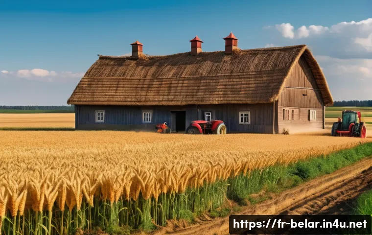 벨라루스 노동시장과 평균 월급 - A detailed scene depicting a traditional Belarusian agricultural landscape during harvest season: ex...